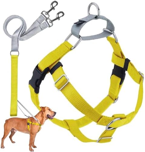 2 Hounds Design Freedom No Pull Dog Harness and Leash