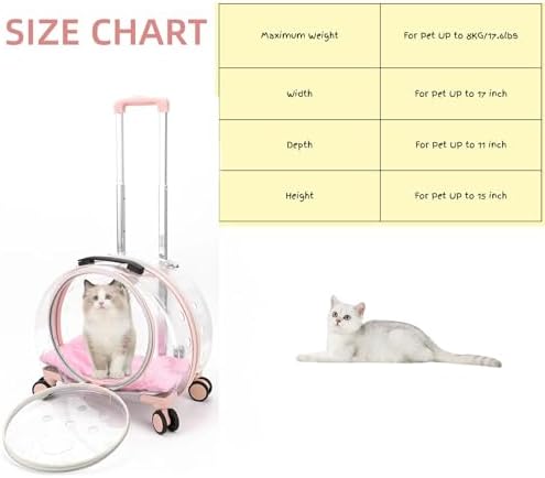 Transparent & Fully Breathable Hard cat Carrier
