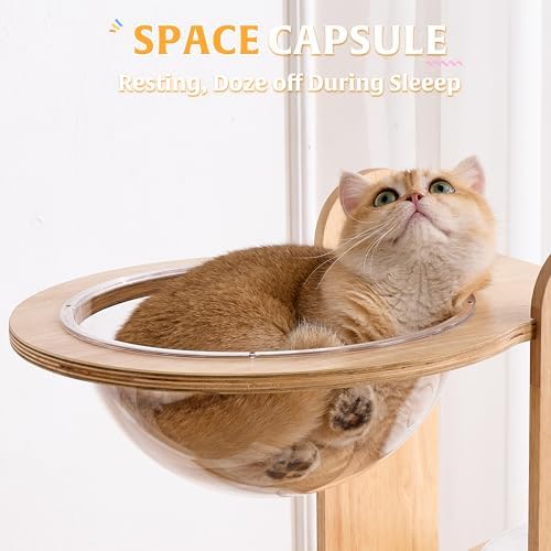 HITTITE Solid Wood Cat Tree Tower
