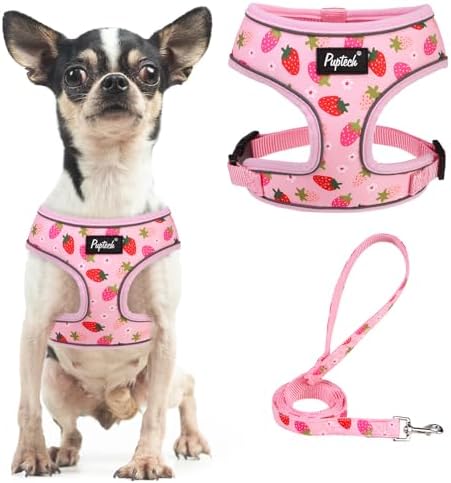 PUPTECK Small Dog Harness and Leash Set No Pull