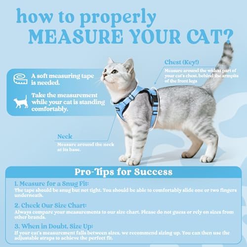 rabbitgoo Cat Harness and Leash Set, Escape Proof Vest, Light Blue