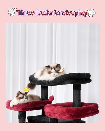 Gitelsnour Cat Tree, Big Condo Hammock GCT030BR