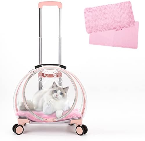 Transparent & Fully Breathable Hard cat Carrier