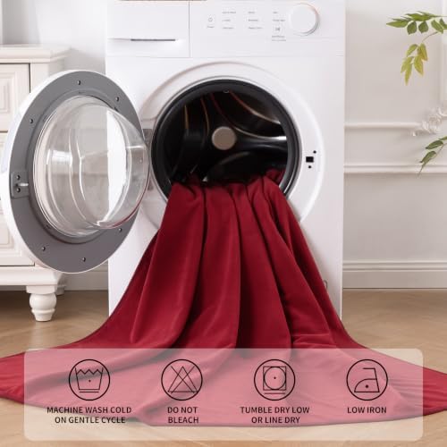 QiyI Reversible Waterproof Blanket