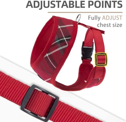 PUPTECK Small Dog Harness and Leash Set No Pull