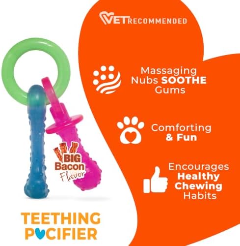 Nylabone Puppy Pacifier Chew Toy, Teething Toys