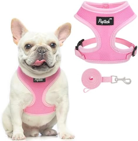 PUPTECK Small Dog Harness and Leash Set No Pull