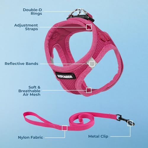 Voyager Step-in Air Cat Harness & Leash Set