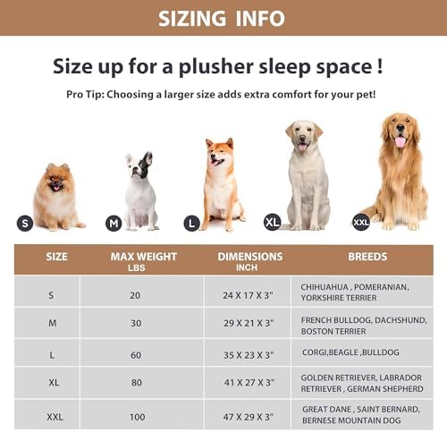 Waterproof Dog Bed for Medium Dog, Orthopedic