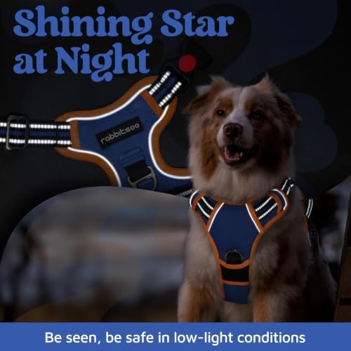 rabbitgoo Dog Harness Medium Sized, No Pull 3 Buckles Easy On & Off