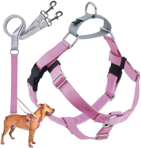 2 Hounds Design Freedom No Pull Dog Harness and Leash
