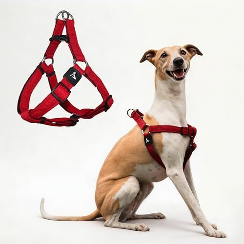 Kruz No Pull Dog Harness Heavy-Duty Pet Harness