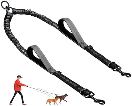 Double Dog Leash