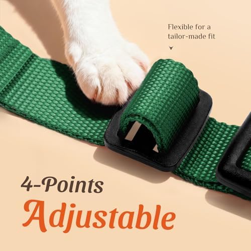 Dooradar Cat Harness and Leash Set, Adjustable and Escape Proof