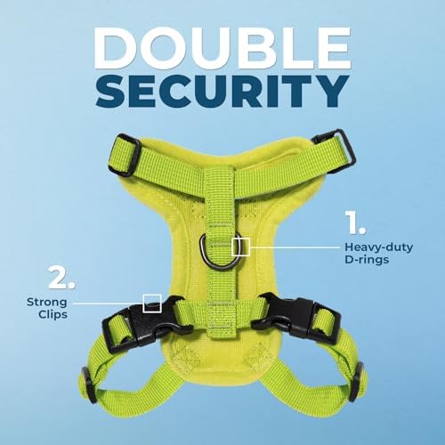 Voyager Step-in Lock Cat Harness & Leash Set