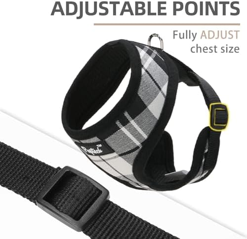 PUPTECK Small Dog Harness and Leash Set No Pull