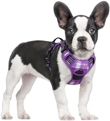rabbitgoo Dog Harness, No Pull for Small Dogs