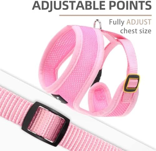 PUPTECK Small Dog Harness and Leash Set No Pull