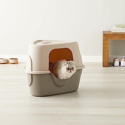 Amazon Basics Cat Litter Box