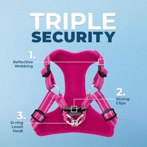 Voyager Step-in Flex Adjustable Dog Harness