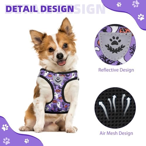 KOOLTAIL Halloween Dog Harness and Leash Set