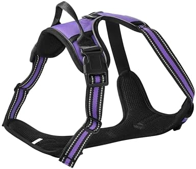 Purple No-Pull Dog Harness
