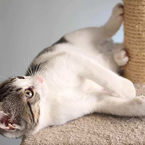 Cat Scratching Post