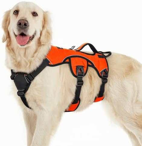 rabbitgoo Escape Proof Dog Harness