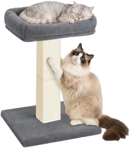 Cat Scratching Post with Plush Perch