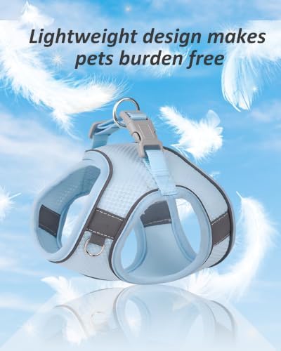 Solmoony Dog Harness for Small Medium Dogs No Pull, Puppy Harness and Leash Set