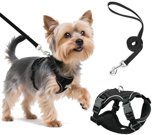 Small Dog Harness and Leash Set, Adjustable Small Sized Pet Vest
