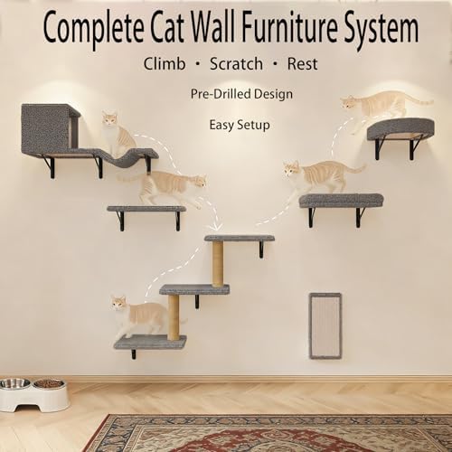 Cat Wall Shelves