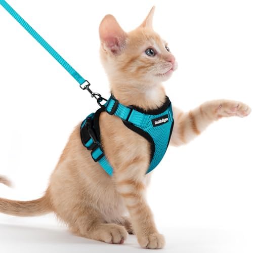 rabbitgoo Cat Harness and Leash Set, Escape Proof Vest