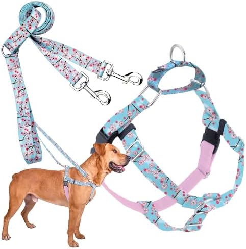 2 Hounds Design