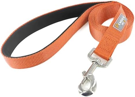 6 FT Reflective Dog Leash for Medium Dogs