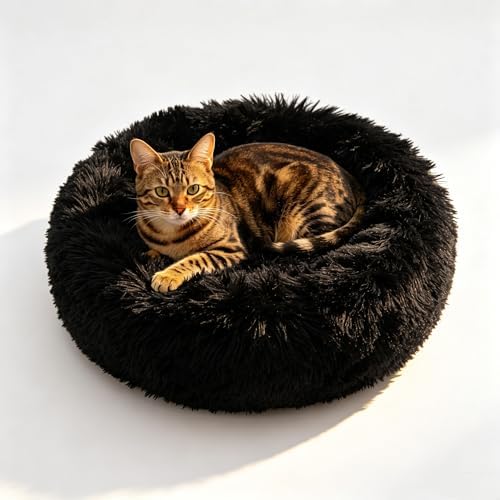 Cat Beds for Indoor Cats
