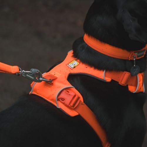 Ruffwear, Front Range Dog Chest Harness, Blaze Orange