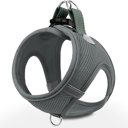 Joytale Step-in Dog Harness, Soft Breathable Mesh