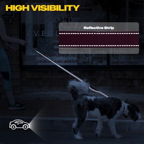 Fida 10 FT Heavy Duty Dog Leash, Dual Padded Handles
