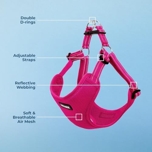 Voyager Step-in Flex Adjustable Dog Harness