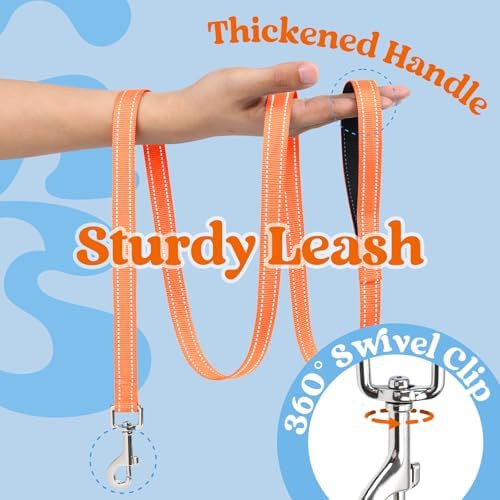 rabbitgoo Dog Harness Small Sized and Leash Set, Step in Soft Vest