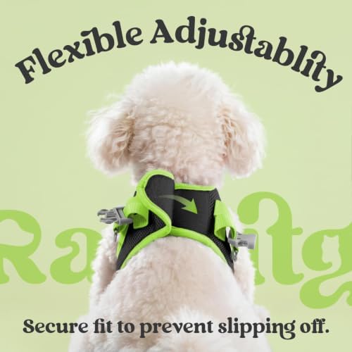 rabbitgoo Dog Harness Small Sized and Leash Set, Step in Soft Vest