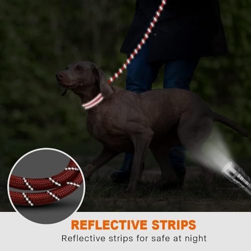 Taglory Rope Dog Leash for Medium Large Dogs, 6 FT Padded Handle
