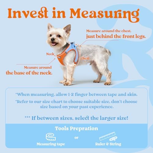 rabbitgoo Step-in Small Dog Harness, Puppy Vest