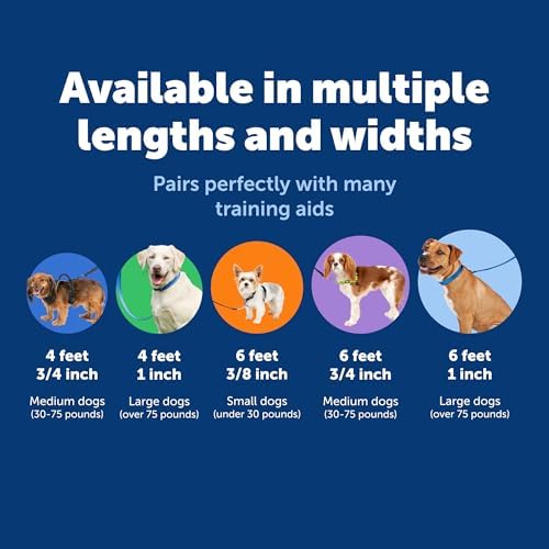PetSafe Nylon Dog Leash
