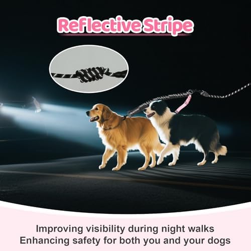 Double Dog Leash