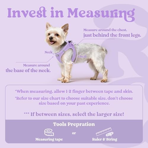 rabbitgoo Step-in Small Dog Harness, Puppy Vest