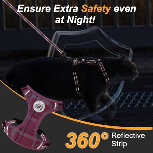 BEAUTYZOO Cat Harness and Leash Set, Escape Proof and Adjustable