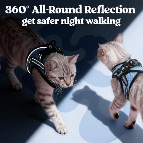 rabbitgoo Cat Harness and Leash Set, Step-in Soft Vest, Light Blue