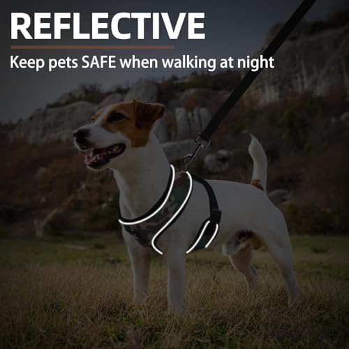 PUPTECK Small Dog Harness and Leash Set No Pull